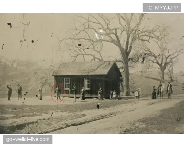 富里睡醒发现自家马场又多两匹新马，账单比对手血条还长