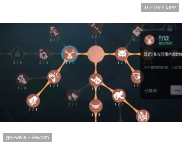 杜埃与亚马尔的天赋构成与成长上限差异解析